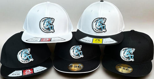 Chugiak Mustangs Richardson PTS20 — 3D Liquid PVC Logo